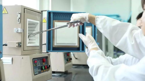 聚焦高質(zhì)量發(fā)展 合肥市蜀山區(qū) 雙 谷 聯(lián)動 打造 全域科創(chuàng) 新生態(tài)