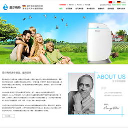 北京鵬飛網絡工作室 打造卓越品牌形象的網站建設與設計成功案例